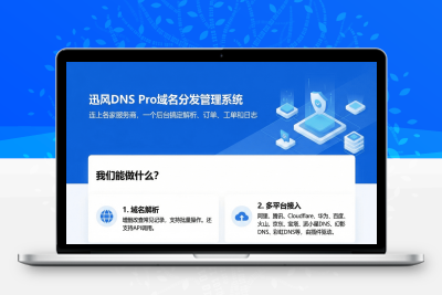 迅风DNS Pro二级域名分发V2.3.3系统源码